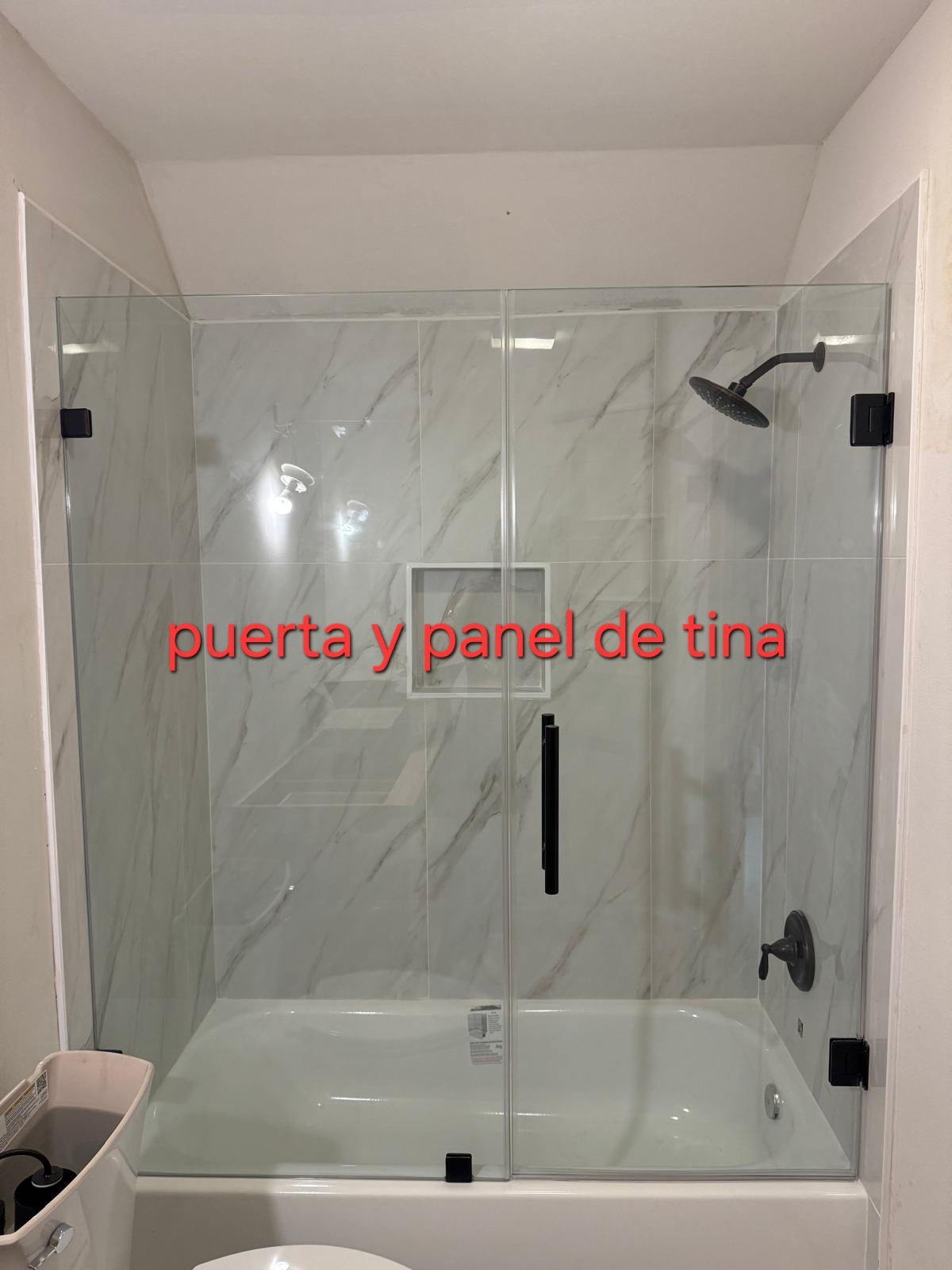 Puerta y panel de tina